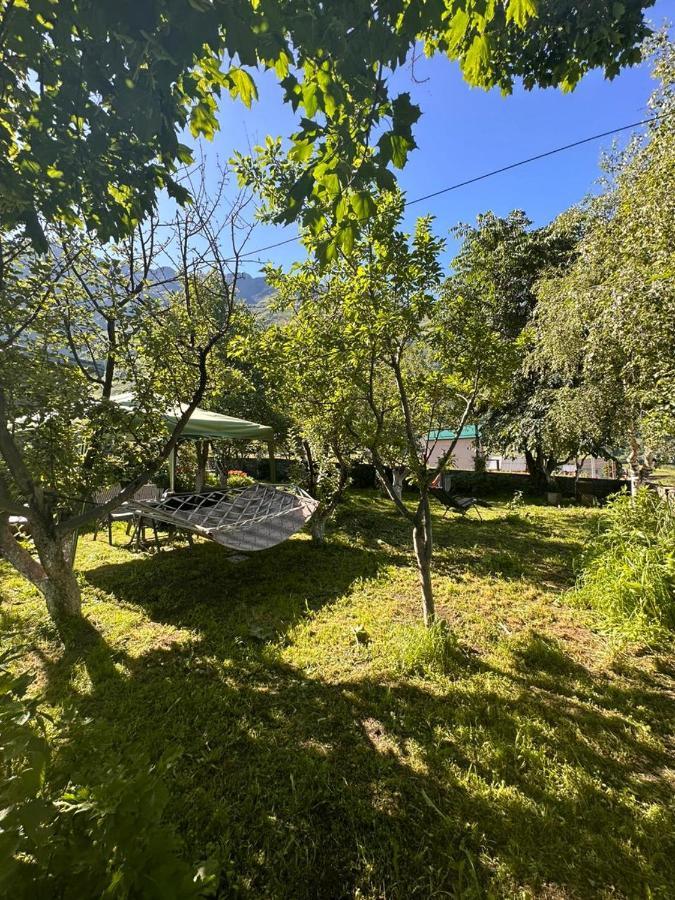 Gio-Nika Hotell Kazbegi Eksteriør bilde
