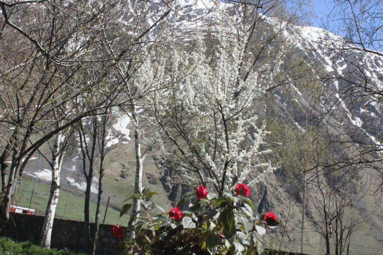 Gio-Nika Hotell Kazbegi Eksteriør bilde